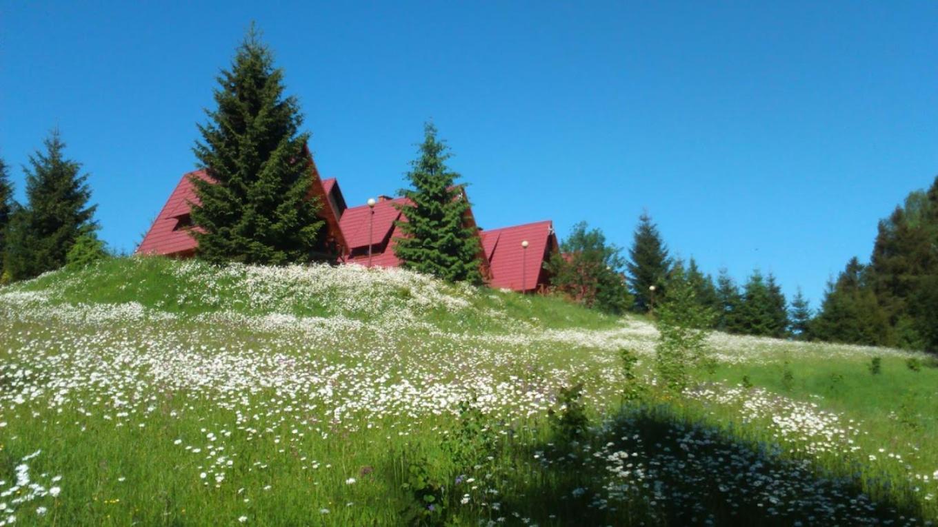 Domki Bieszczady Siedlisko Harenda Czarna  Exterior photo