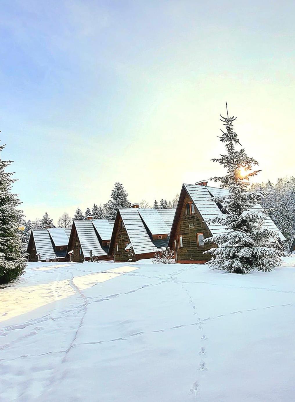 Domki Bieszczady Siedlisko Harenda Czarna  Exterior photo