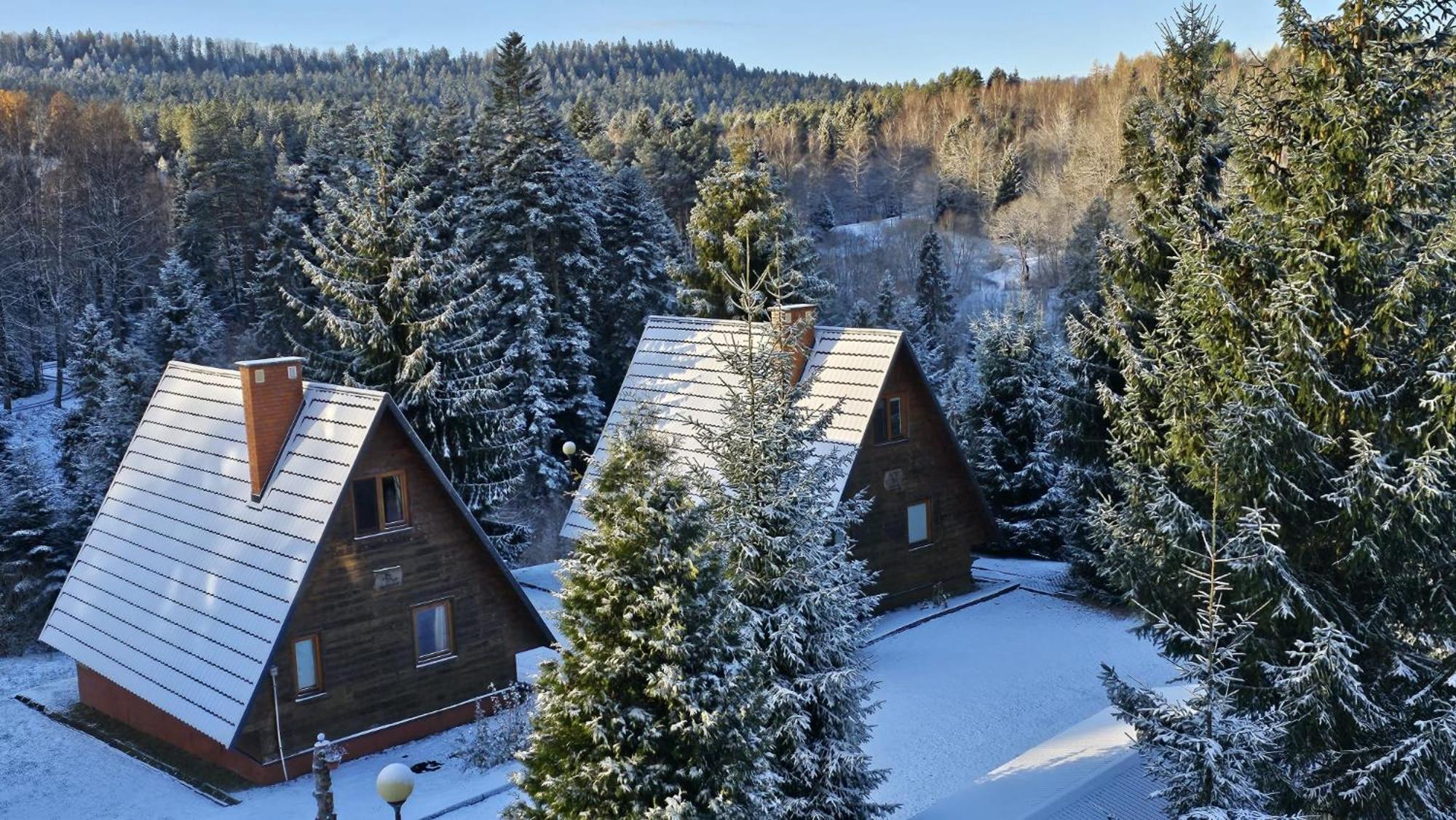 Domki Bieszczady Siedlisko Harenda Czarna  Exterior photo