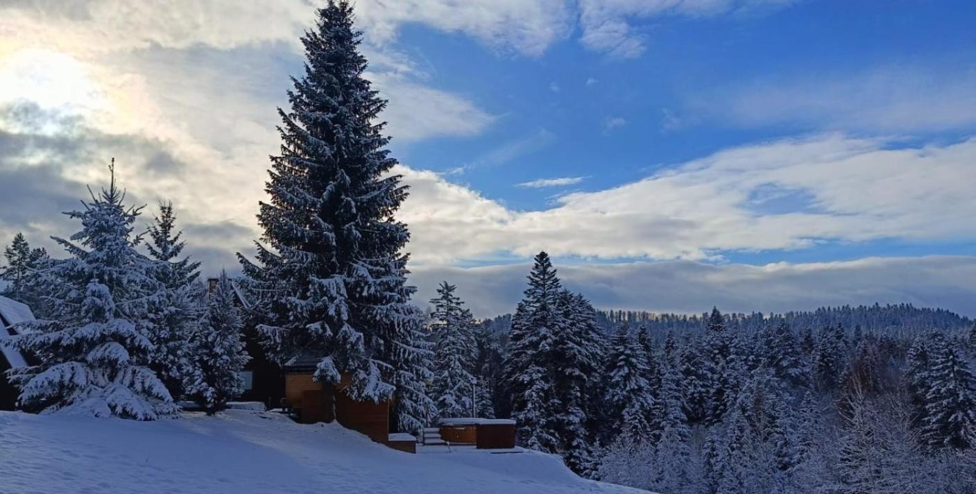 Domki Bieszczady Siedlisko Harenda Czarna  Exterior photo